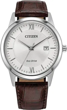 Citizen Men's Classic Eco-Drive Leather Strap Watch