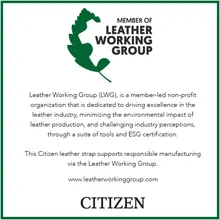 Citizen Eco-Drive Men's Disney Mickey Mouse Aviator Watch