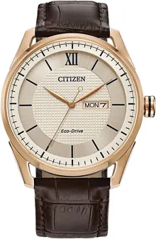 Citizen Men's Classic Eco-Drive Watch with 3-Hand Day and Date, Brown Leather Strap/ Rose Gold